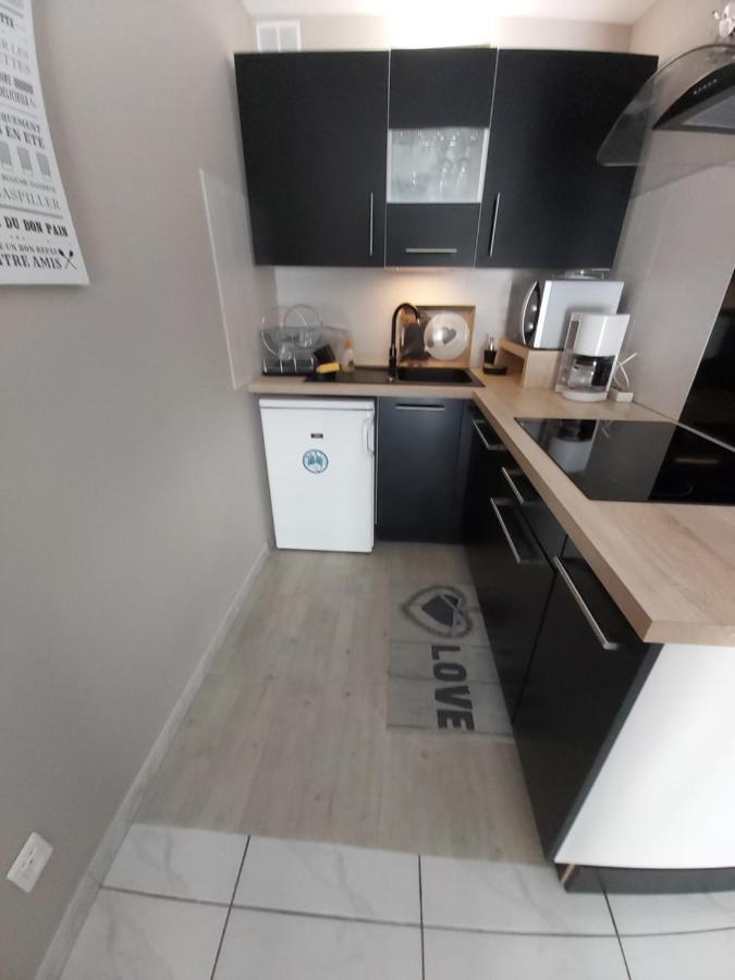 :) Grand Studio Lumineux A Toulouse Et Parking Ngoại thất bức ảnh