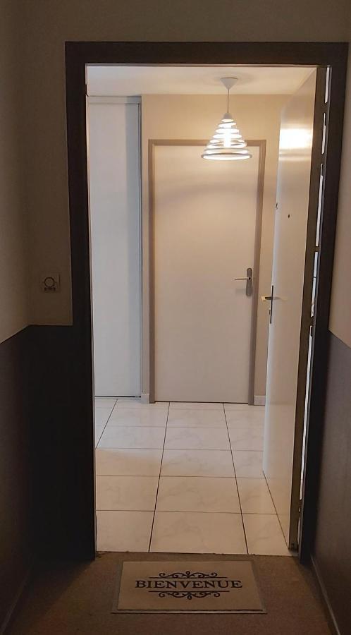 :) Grand Studio Lumineux A Toulouse Et Parking Ngoại thất bức ảnh
