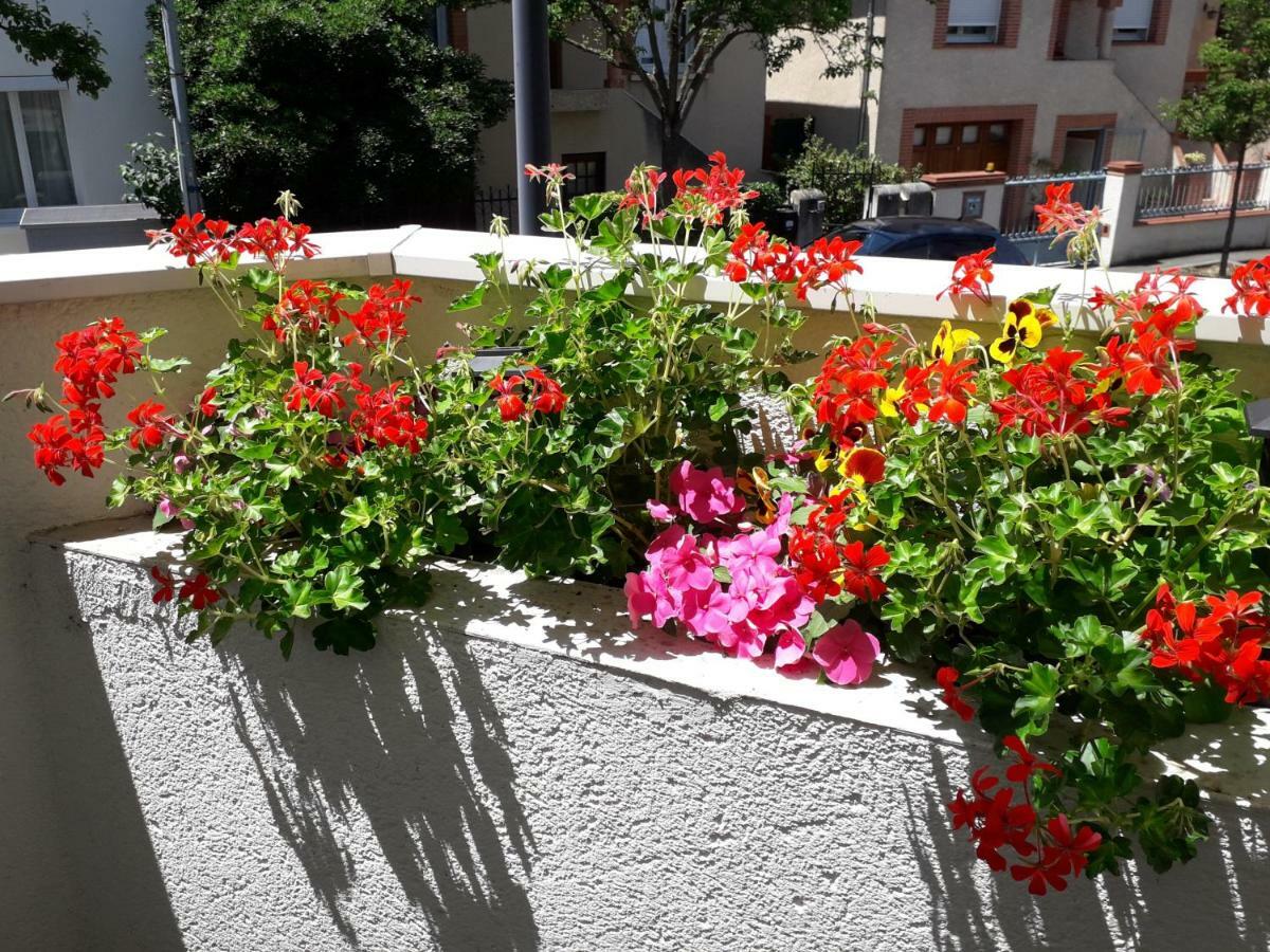 :) Grand Studio Lumineux A Toulouse Et Parking Ngoại thất bức ảnh